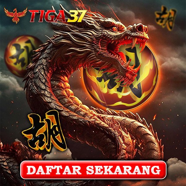 TIGA37 Panduan Lengkap Buat Pengguna Baru